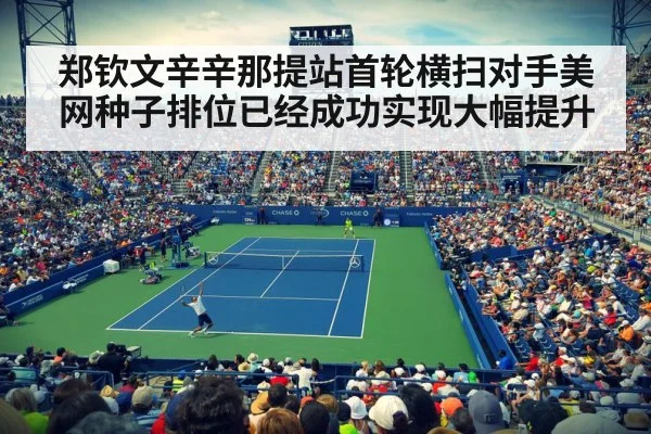 Cincinnati Open tennis court