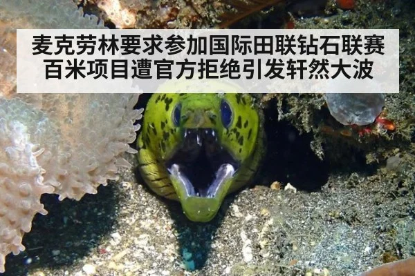 麦克劳林要求参加国际田联钻石联赛百米项目遭官方拒绝引发轩然大波