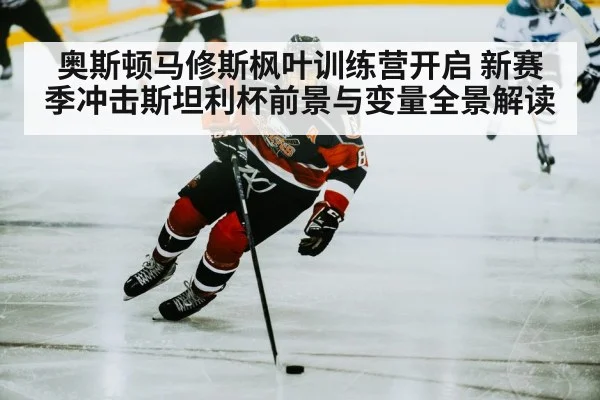 hockey player skating rink